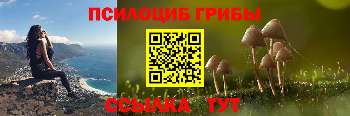 где найти наркотики  Вход с VPN  Нижнеудинск  Псилоцибиновые грибы мицелий 